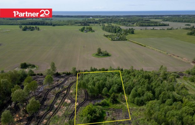 картина 1 of 13