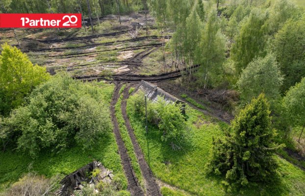 картина 6 of 13