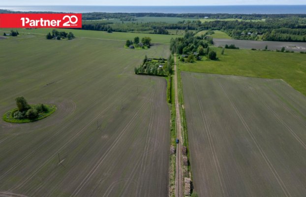 картина 9 of 13