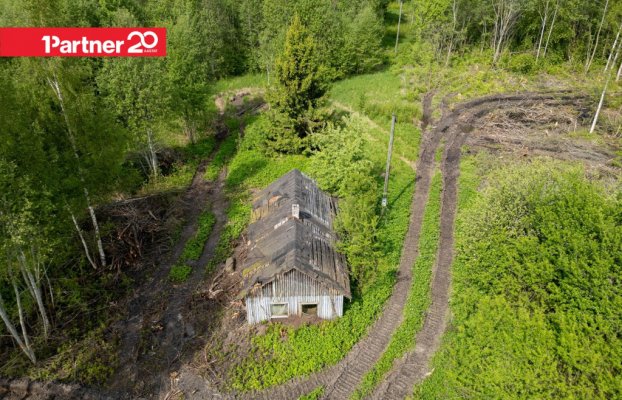 картина 5 of 13