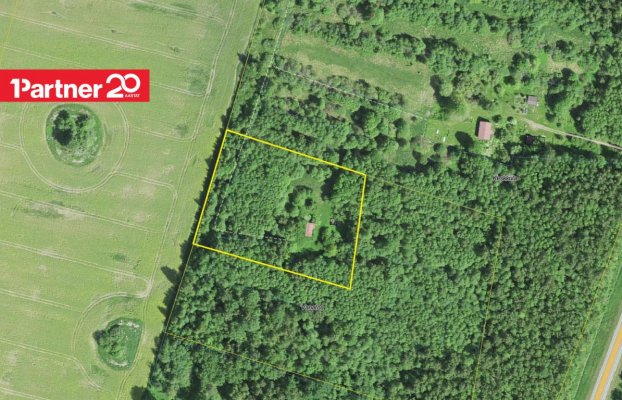 картина 4 of 13