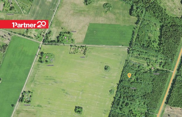 картина 12 of 13