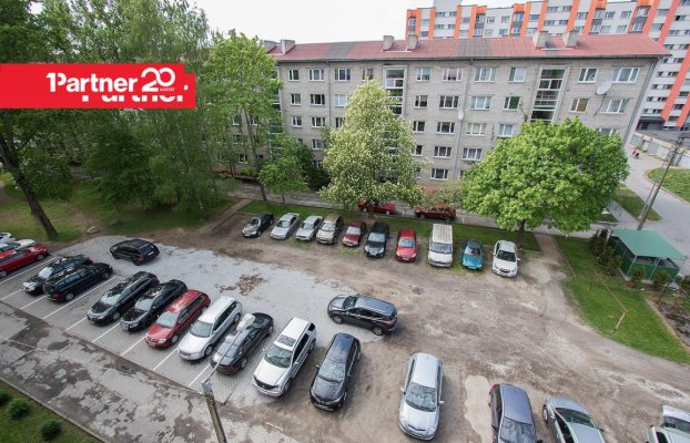 Image 10 of 13