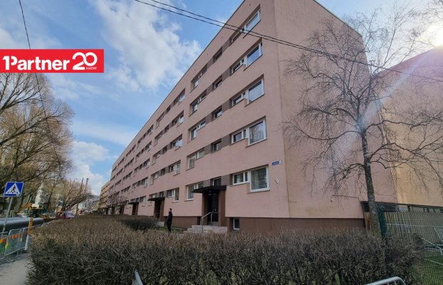 картина 19 of 22