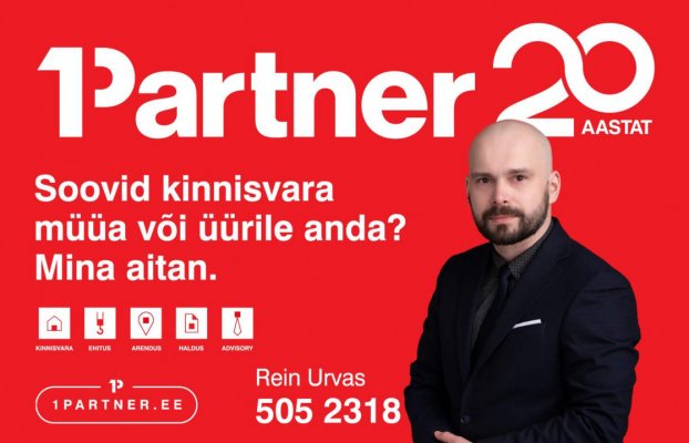 картина 21 of 21