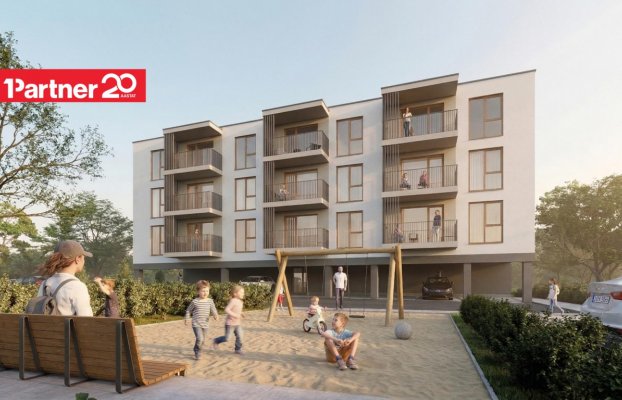 Pilt 7 of 11