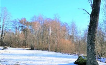 Pilte PROJEKTEERIMISTINGIMUSED VÄLJASTATUD