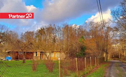 Image of Kassitatra tee 55