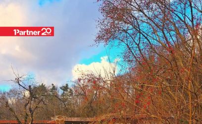 Image of Kassitatra tee 55