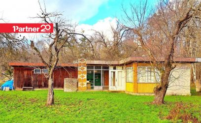 Image of Kassitatra tee 55