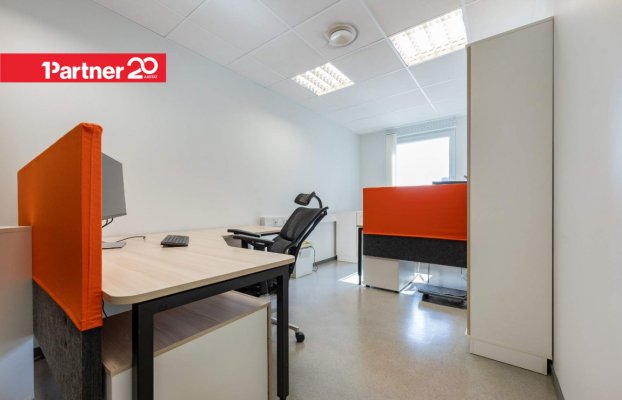 картина 11 of 32