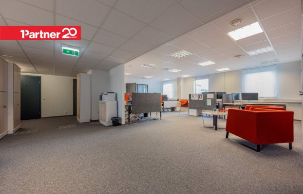 картина 17 of 32