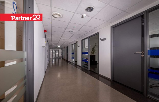 картина 23 of 32