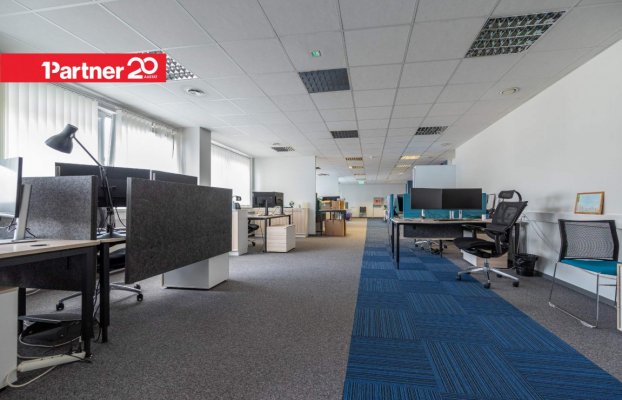 картина 21 of 32