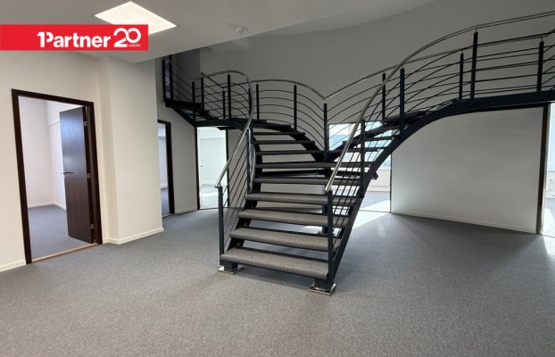 картина 12 of 28