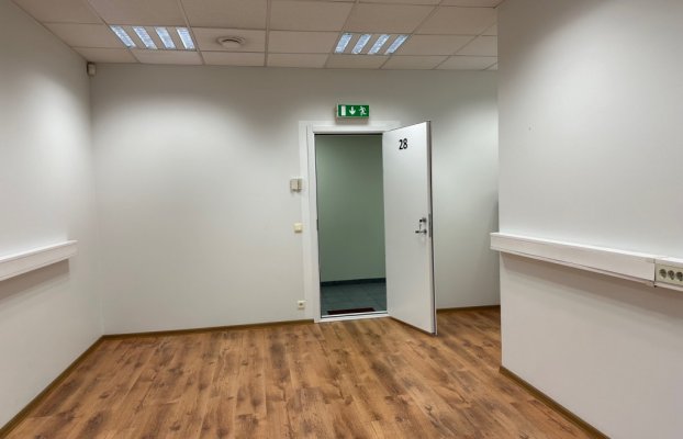 картина 4 of 8