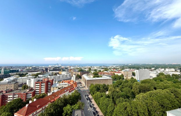 картина 12 of 17