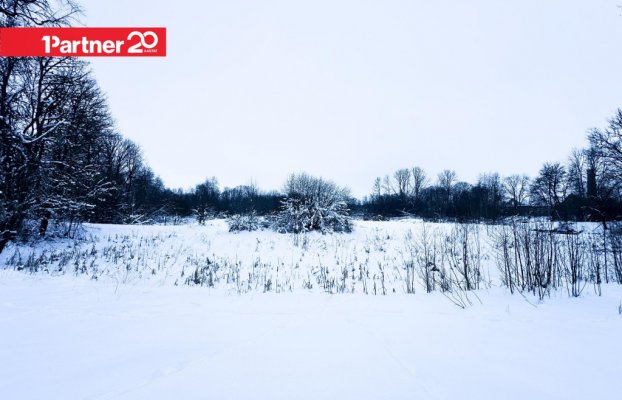 картина 4 of 19