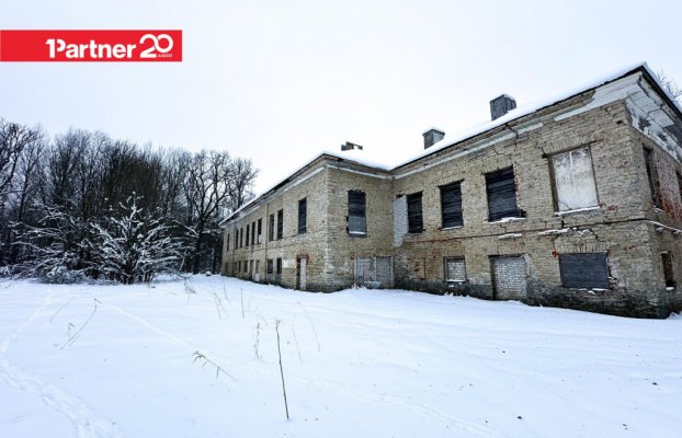 картина 14 of 19