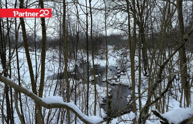 картина 18 of 19