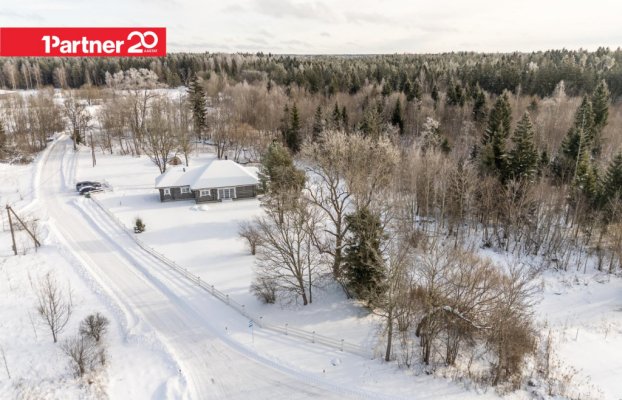 картина 35 of 41