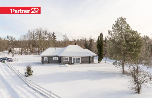 картина 6 of 41