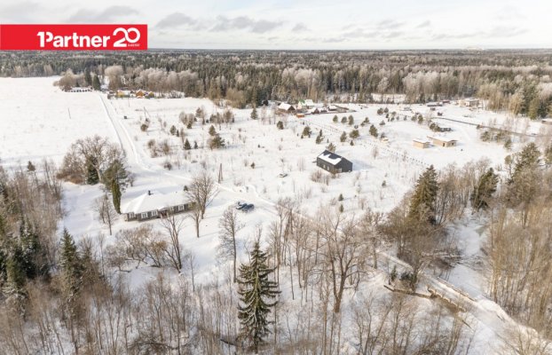 картина 37 of 41