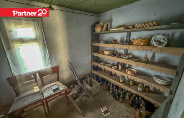 картина 15 of 24