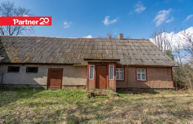 картина 6 of 24