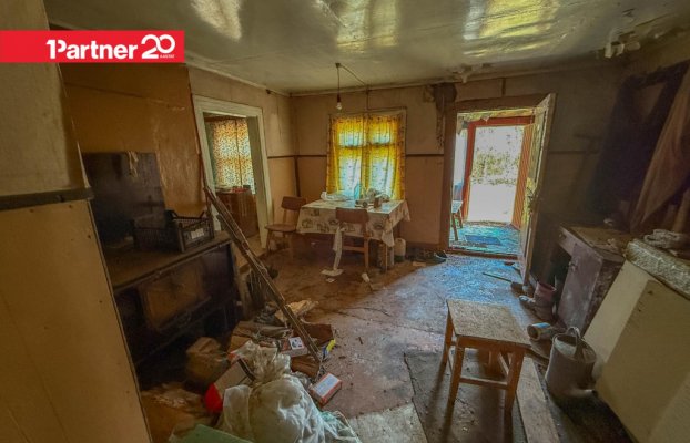 картина 12 of 24
