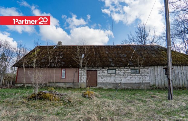 картина 8 of 24