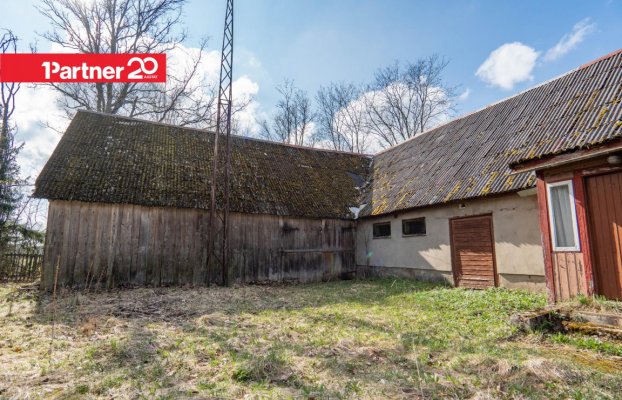 картина 5 of 24