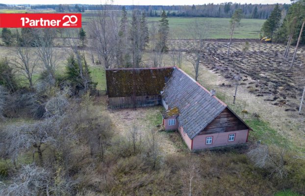 картина 18 of 24