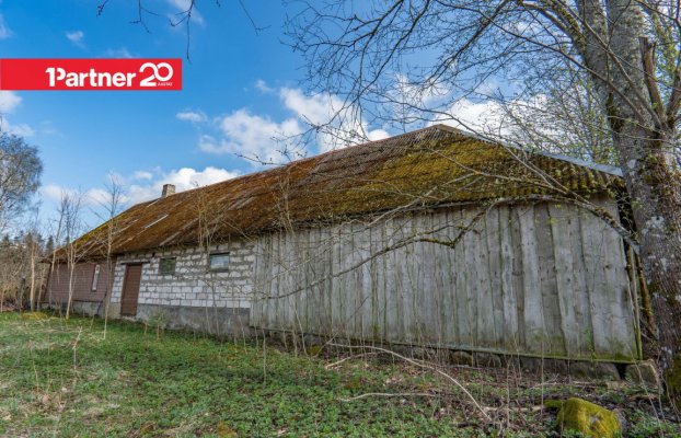 картина 9 of 24