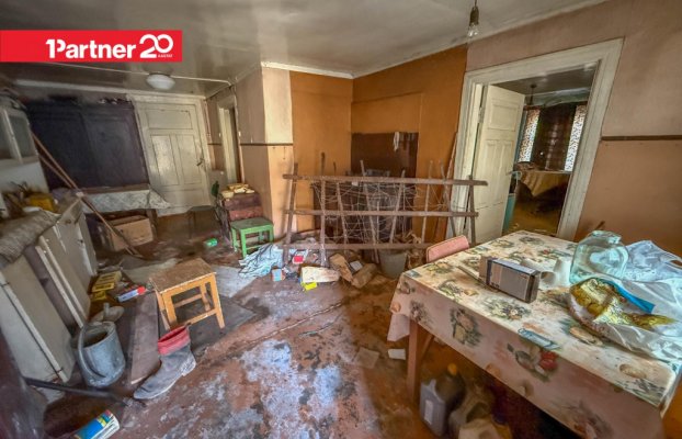 картина 11 of 24