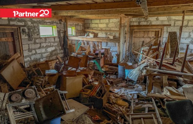 картина 17 of 24