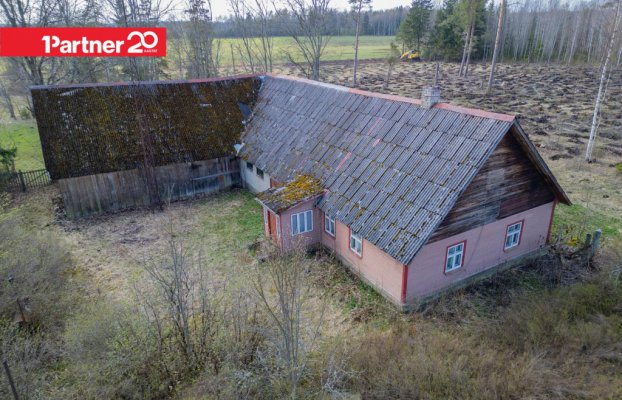 картина 1 of 24