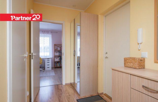 картина 21 of 37