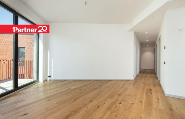 Image 7 of 16