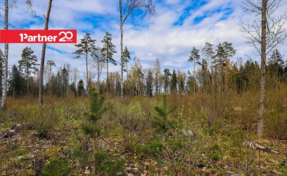 Image of EHITUSÕIGUSEGA, LOODUSKAUNIS KINNISTU!