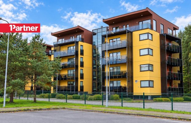 Image 24 of 26