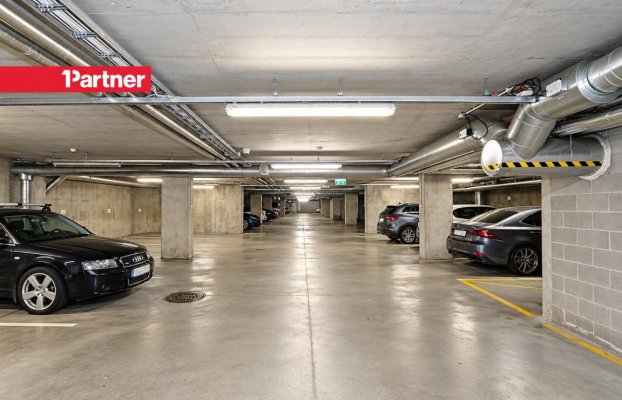 Image 25 of 27