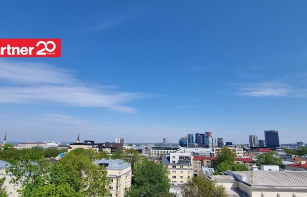 картина 24 of 33