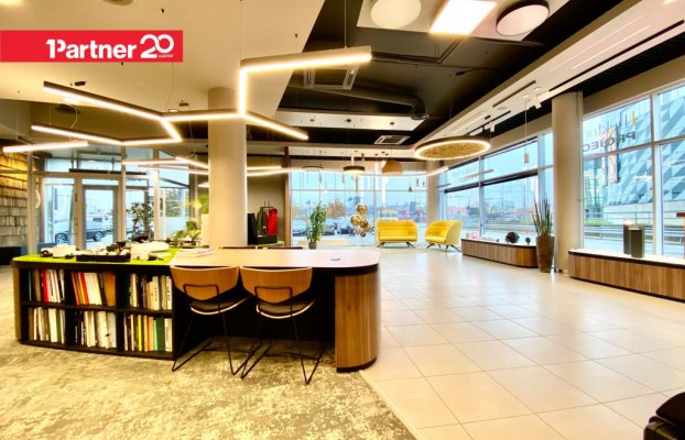 картина 16 of 32