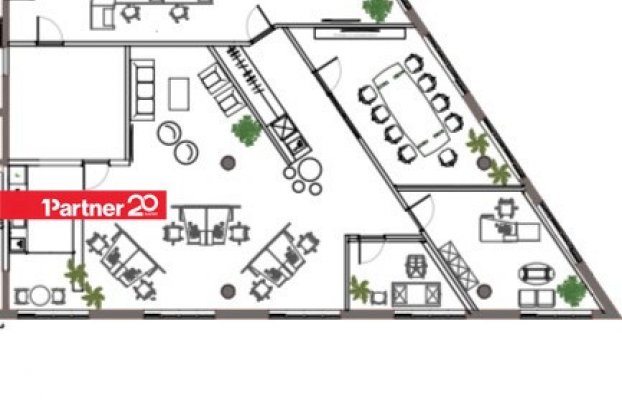 картина 16 of 18