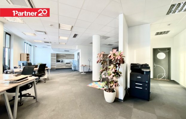 картина 5 of 18