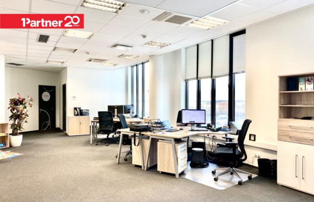 картина 8 of 18