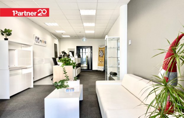 картина 4 of 18