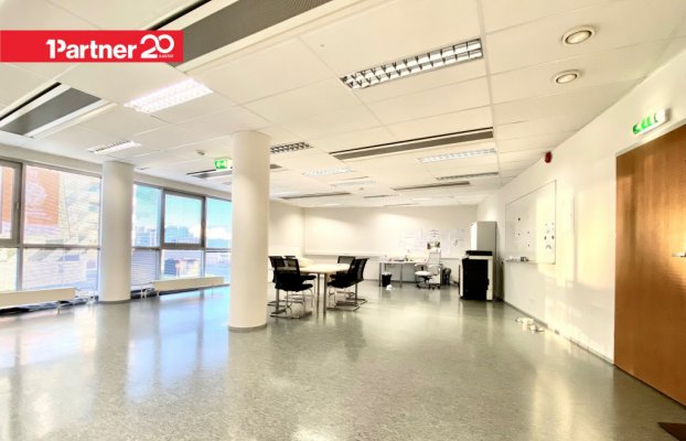 картина 5 of 11