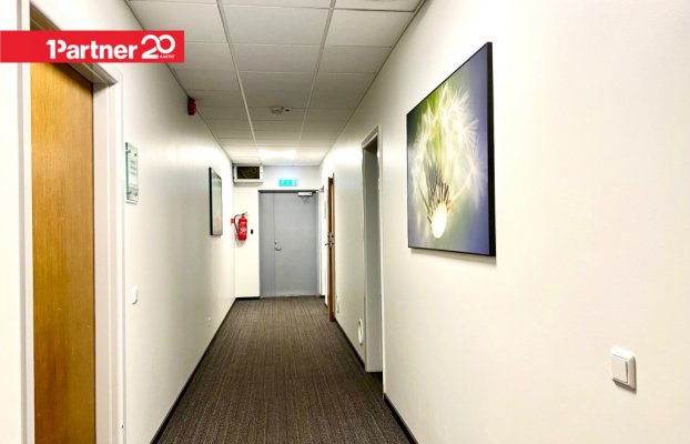 картина 8 of 11